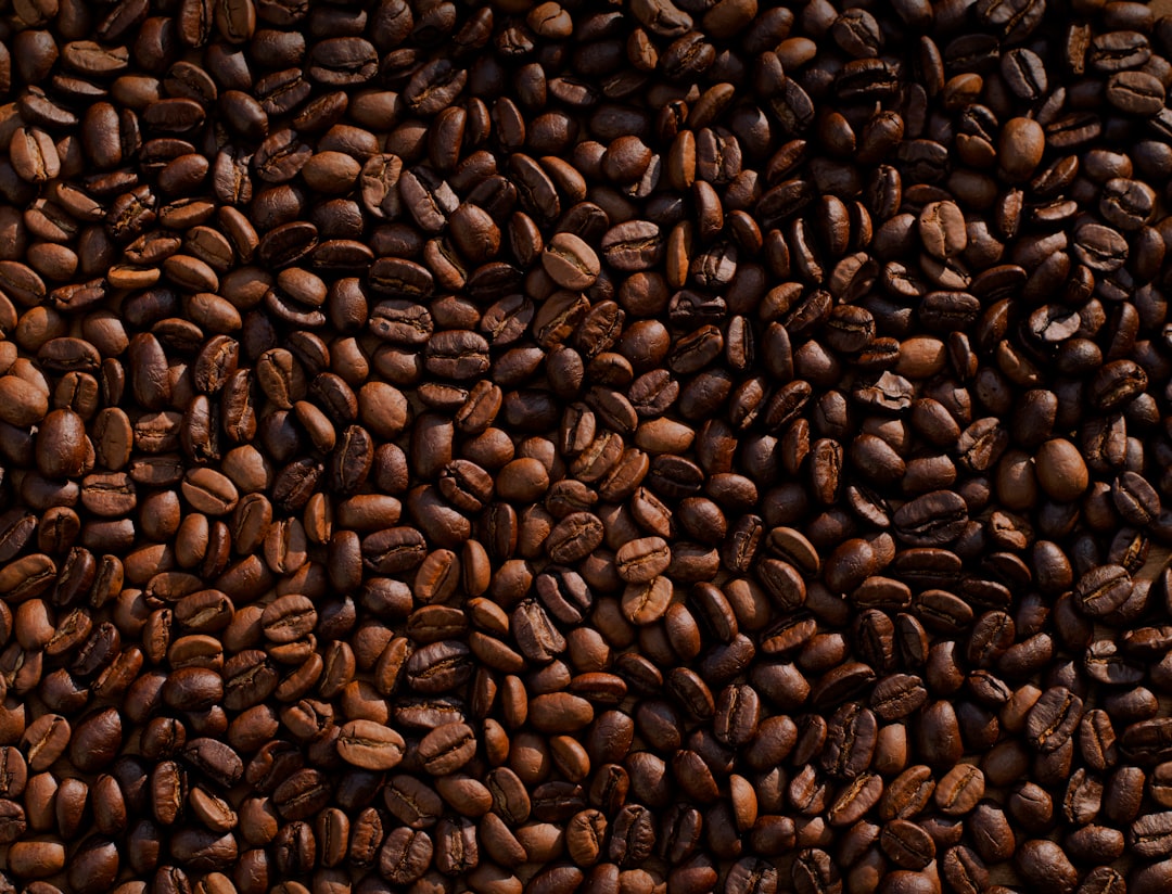Coffee and Women's Hormones: What Your Morning Cup Is Actually Doing