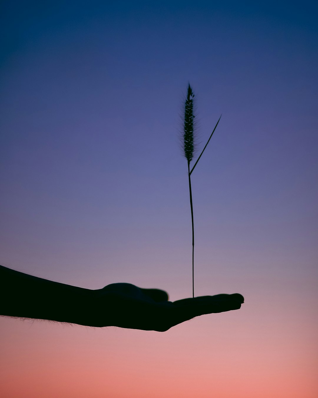 PCOS in Women: What Is Actually Happening — and What a Whole-Body Approach Looks Like