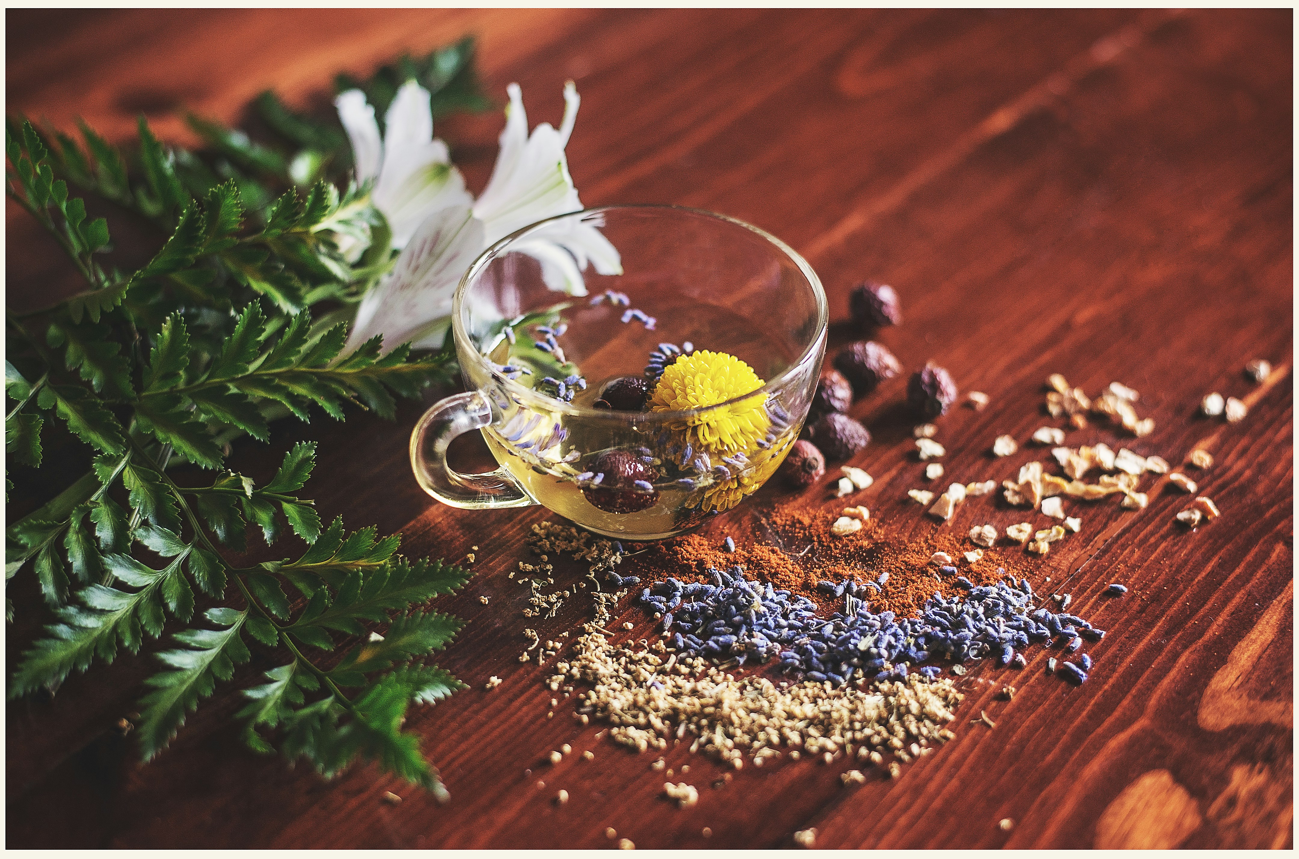 Self Care Rituals for Daily Balance